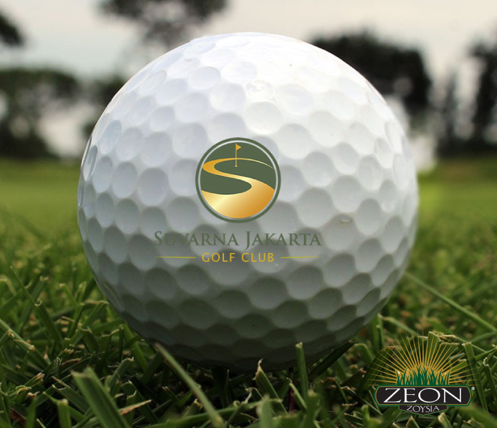zeon zoysia