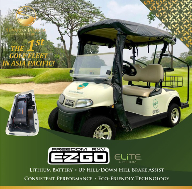 Buggy On Course